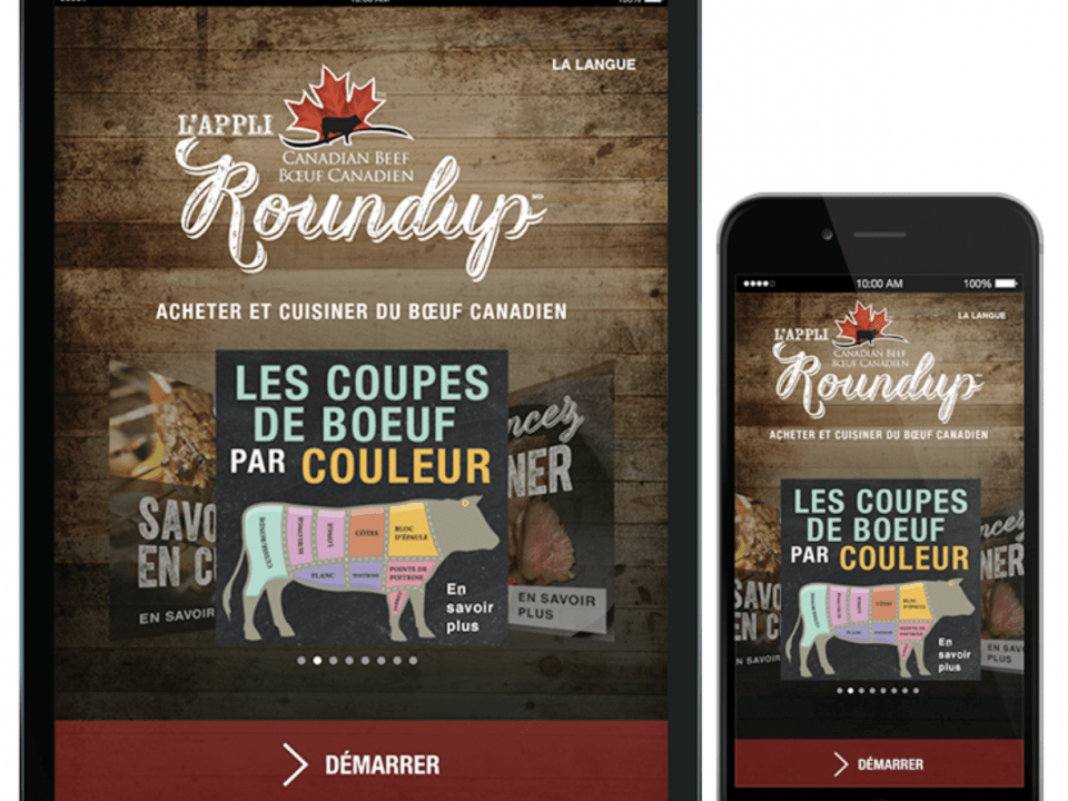 Les Gourmands boucherie
